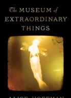 The Museum of Extraordinary Things