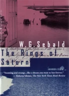 The Rings of Saturn