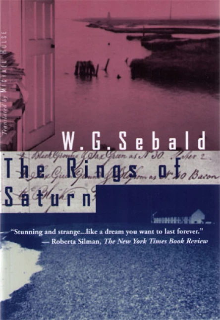 The Rings of Saturn