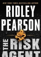 The Risk Agent