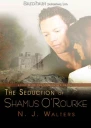 The Seduction of Shamus ORourke