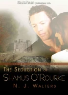 The Seduction of Shamus ORourke