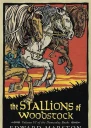 The Stallions of Woodstock
