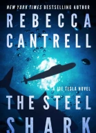 The Steel Shark