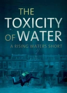 The Toxicity of Water