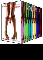 The Ultimate Erotic Short Story Collection 19