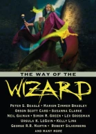 The Way of the Wizard