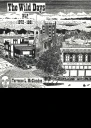 The Wild Days NLP 1972 to 1981