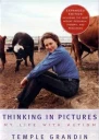 Thinking in pictures