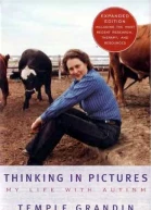 Thinking in pictures