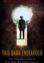 This Dark endeavor