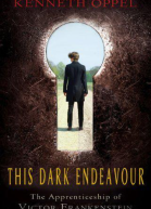 This Dark endeavor