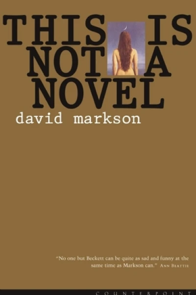 This is Not a Novel