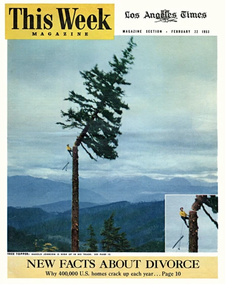 This Week February 22 1953
