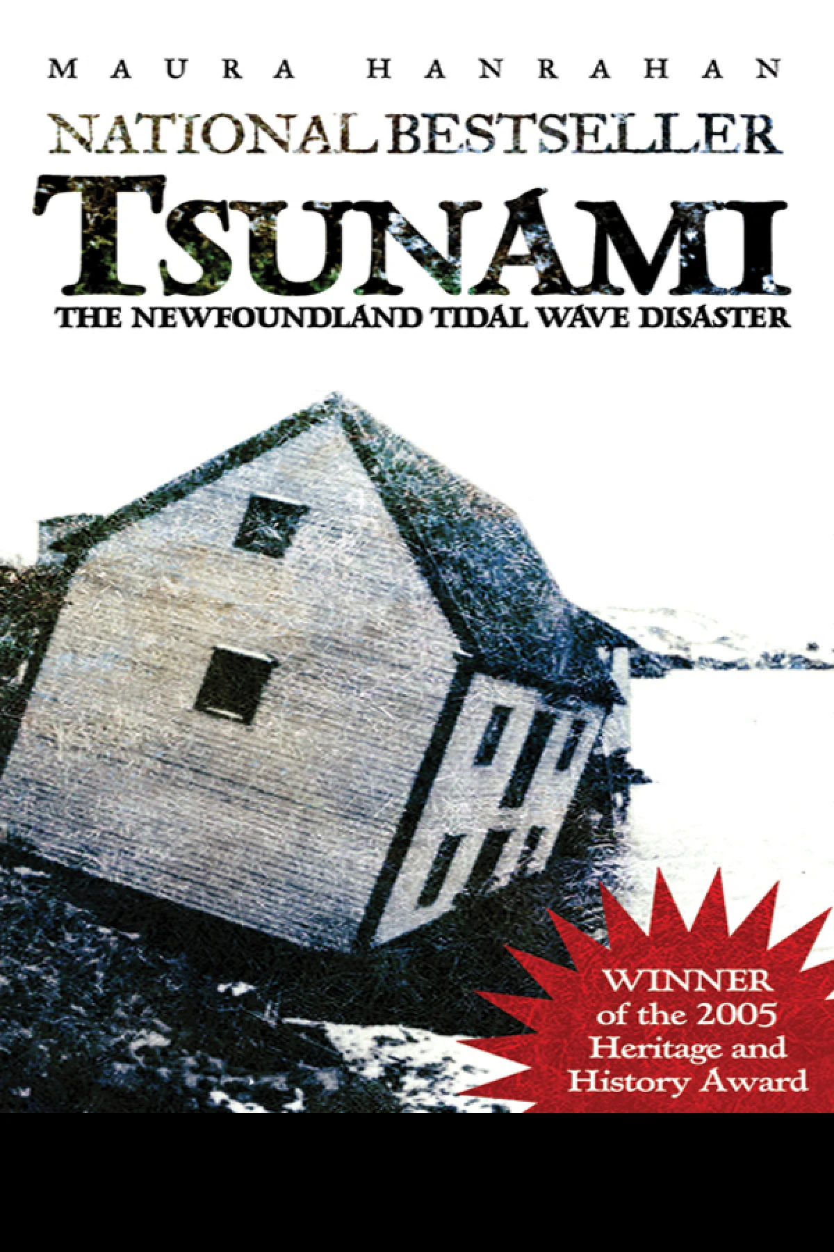 Tsunami The Newfoundland Tidal Wave Disaster  Hanrahan Maura