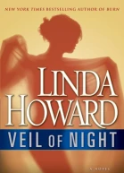 Veil of Night A Novel