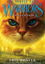 Warriors The Broken Code 2 The Silent Thaw
