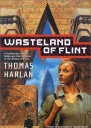 Wasteland of flint