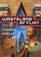 Wasteland of flint
