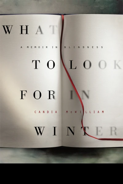 What to Look for in Winter