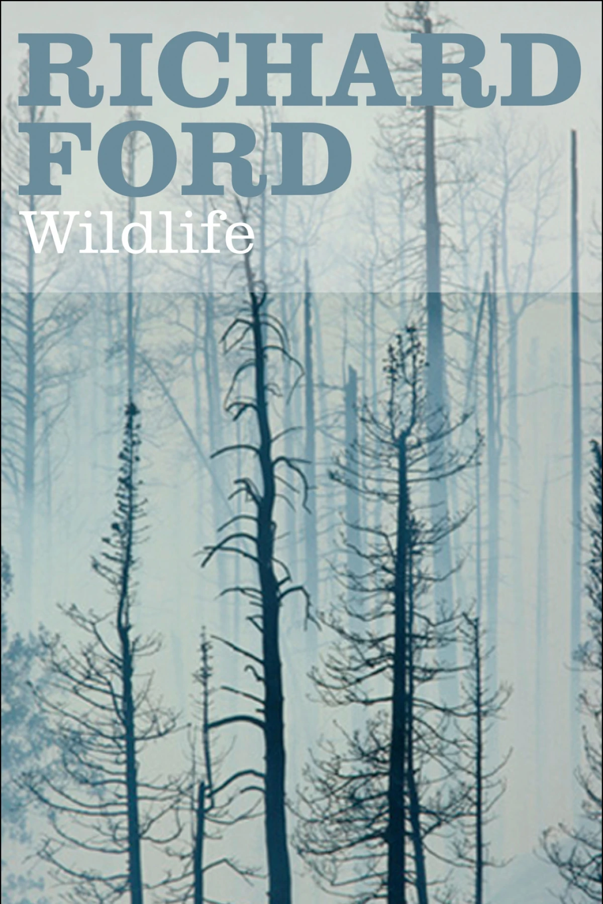 Wildlife  Ford Richard