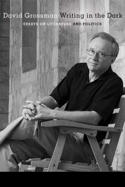 Writing in the Dark Essays on Literature and Politics