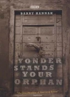 Yonder Stands Your Orphan